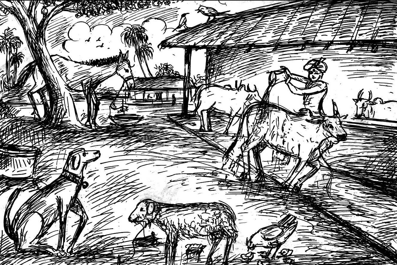 Kural 244